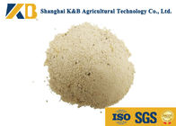 Dried White Rice Protein Powder Nutrition / Natural Feed Additives Long Expiry Date