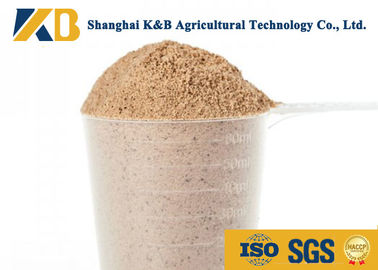 Profil bien équilibré d'acide aminé de produits de poudre de riz brun d'OEM/alimentation des animaux